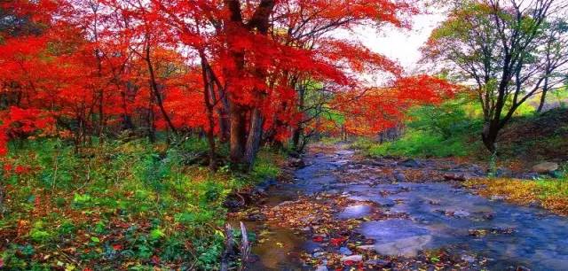 893e8c3fe726c9baff14a2e1125b3bf1.jpg 893e8c3fe726c9baff14a2e1125b3bf1.jpg