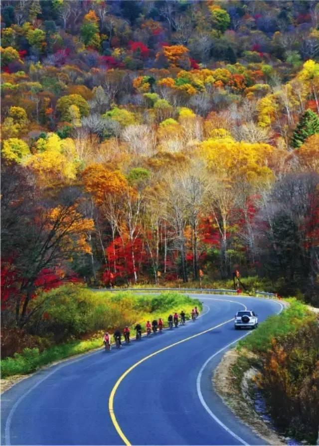 8b12bfef6390d729c5b1505dbad1490e.jpg 8b12bfef6390d729c5b1505dbad1490e.jpg