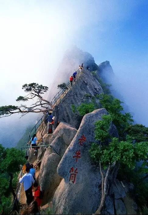 a872d18d8bffac09c28a1219782624b4.jpg a872d18d8bffac09c28a1219782624b4.jpg